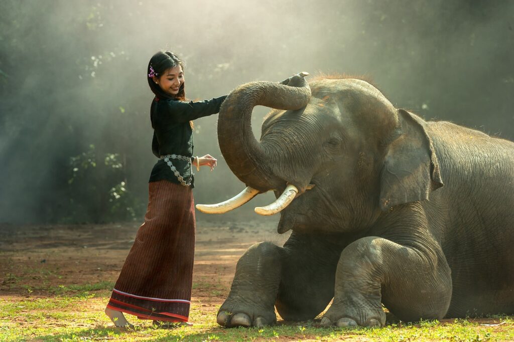 Thai-Girl-Patting-elephant 