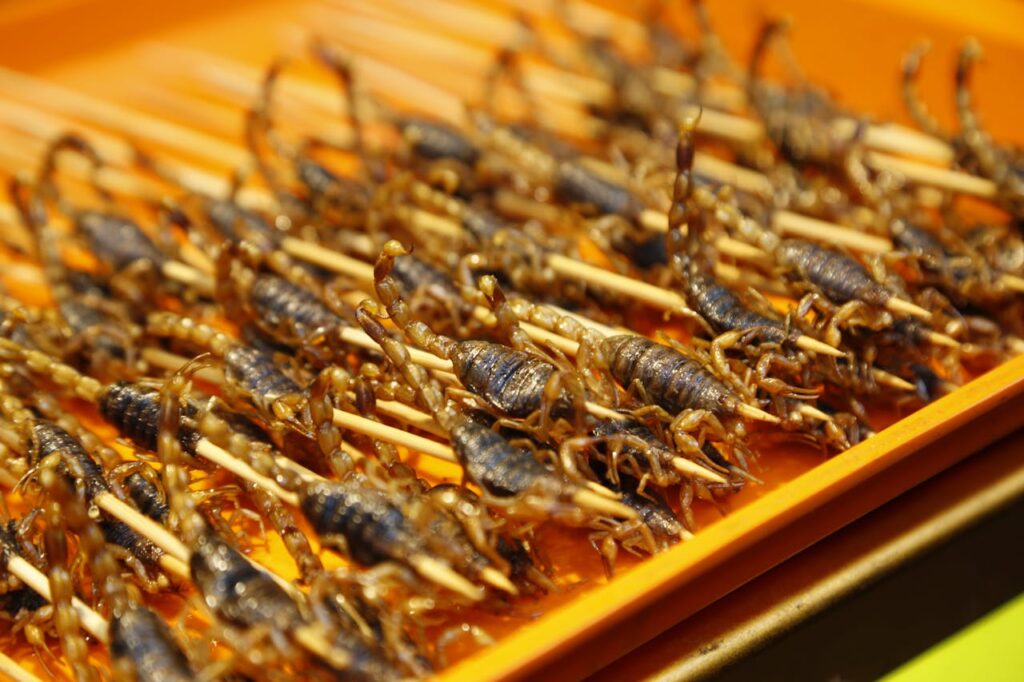 Fried Insects - Thai Street Food 